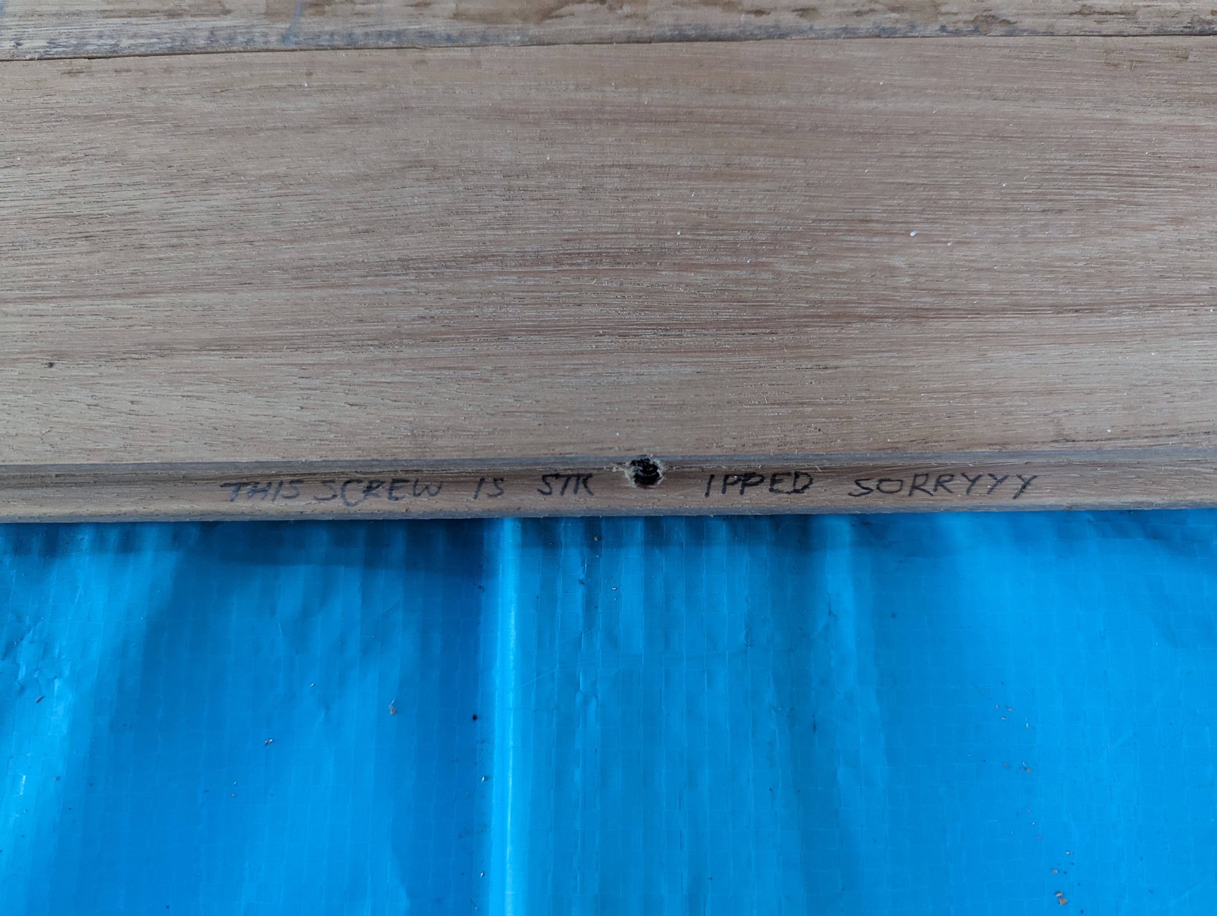 A stripped screw that will be difficult to remove