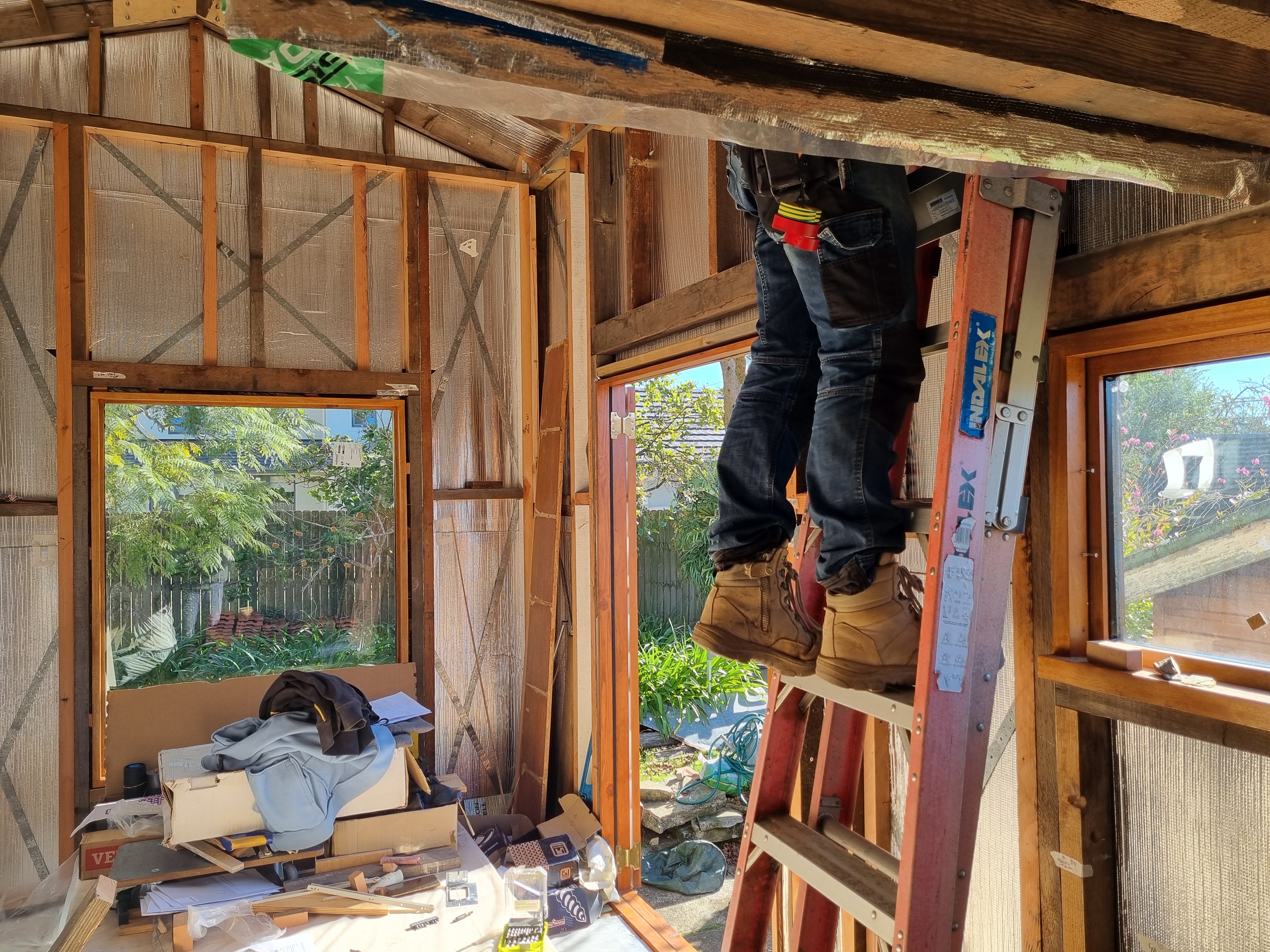 Ever the professional, he brings his own ladder even though we have three