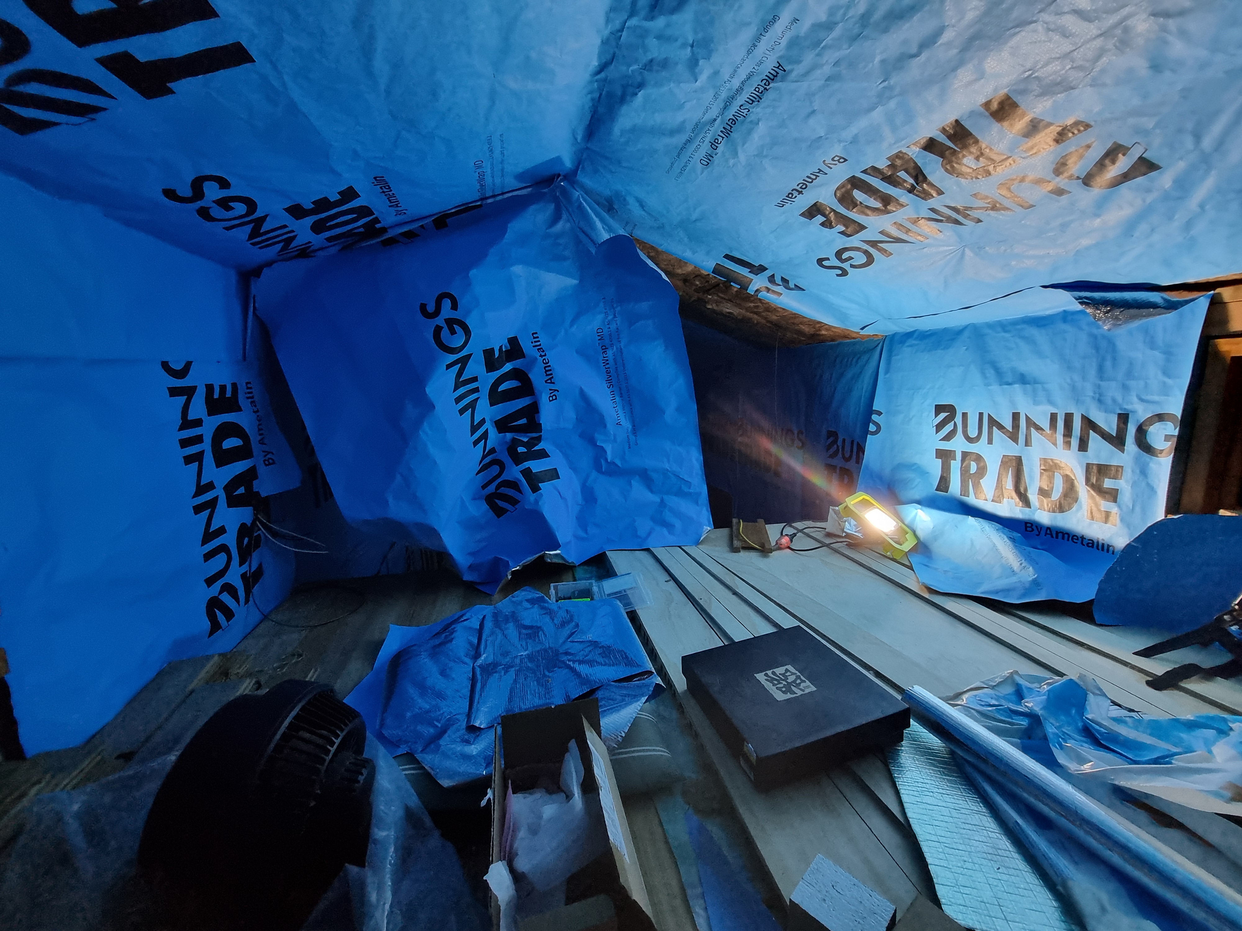 The insides of a blue whale