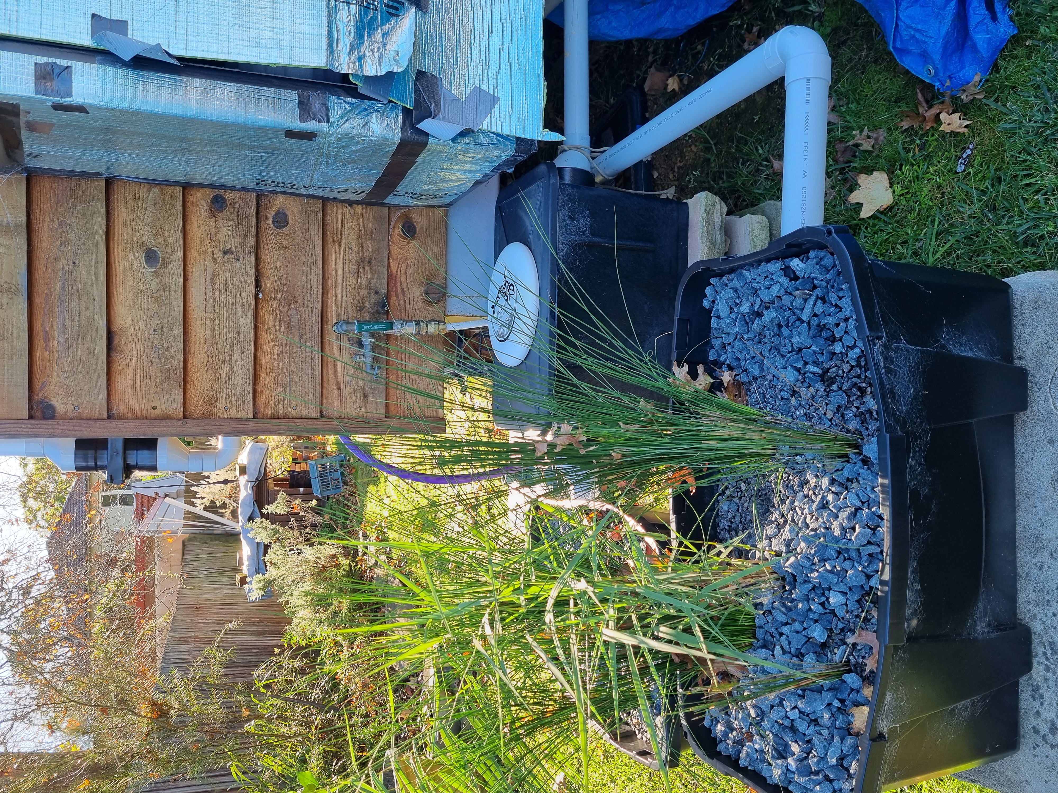 Grease trap, plumbing and the reed bed